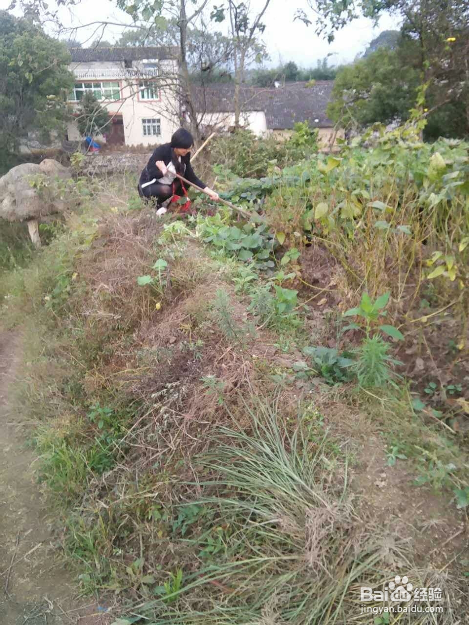 带你走进大别山体会农家快乐