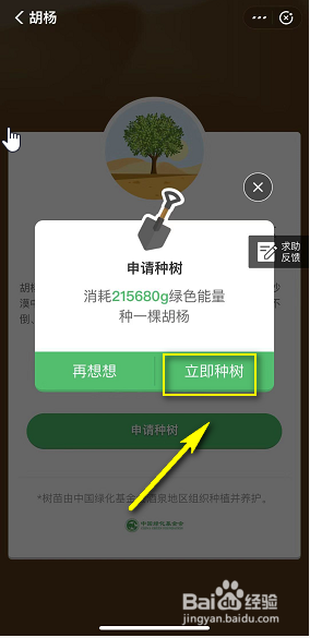 蚂蚁森林胡杨怎么种