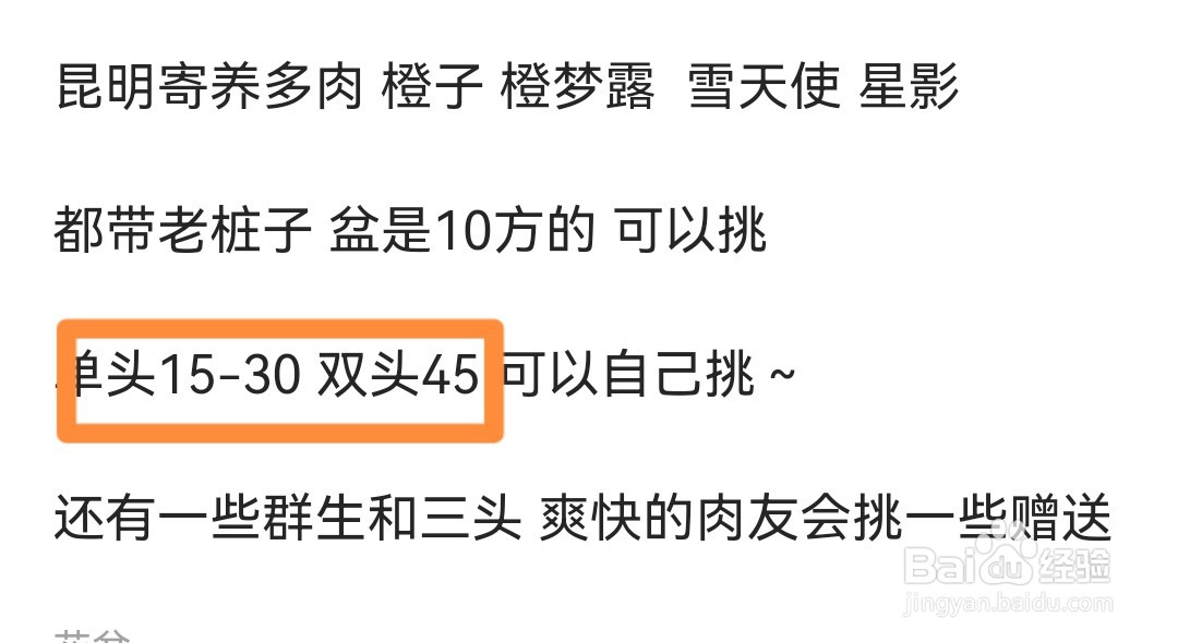 多肉寄养怎么收费