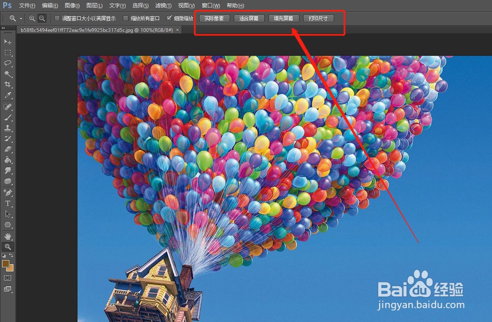 如何用PS放大缩小图片