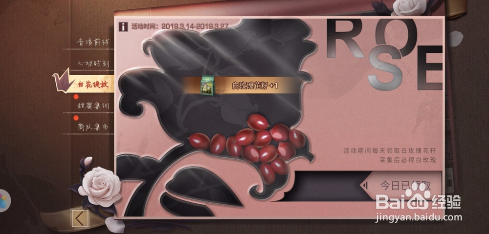 明日之后白花绽放活动怎么做,白玫瑰怎么种植