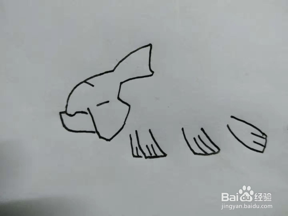 《口袋妖怪》古空棘鱼手绘怎么画？