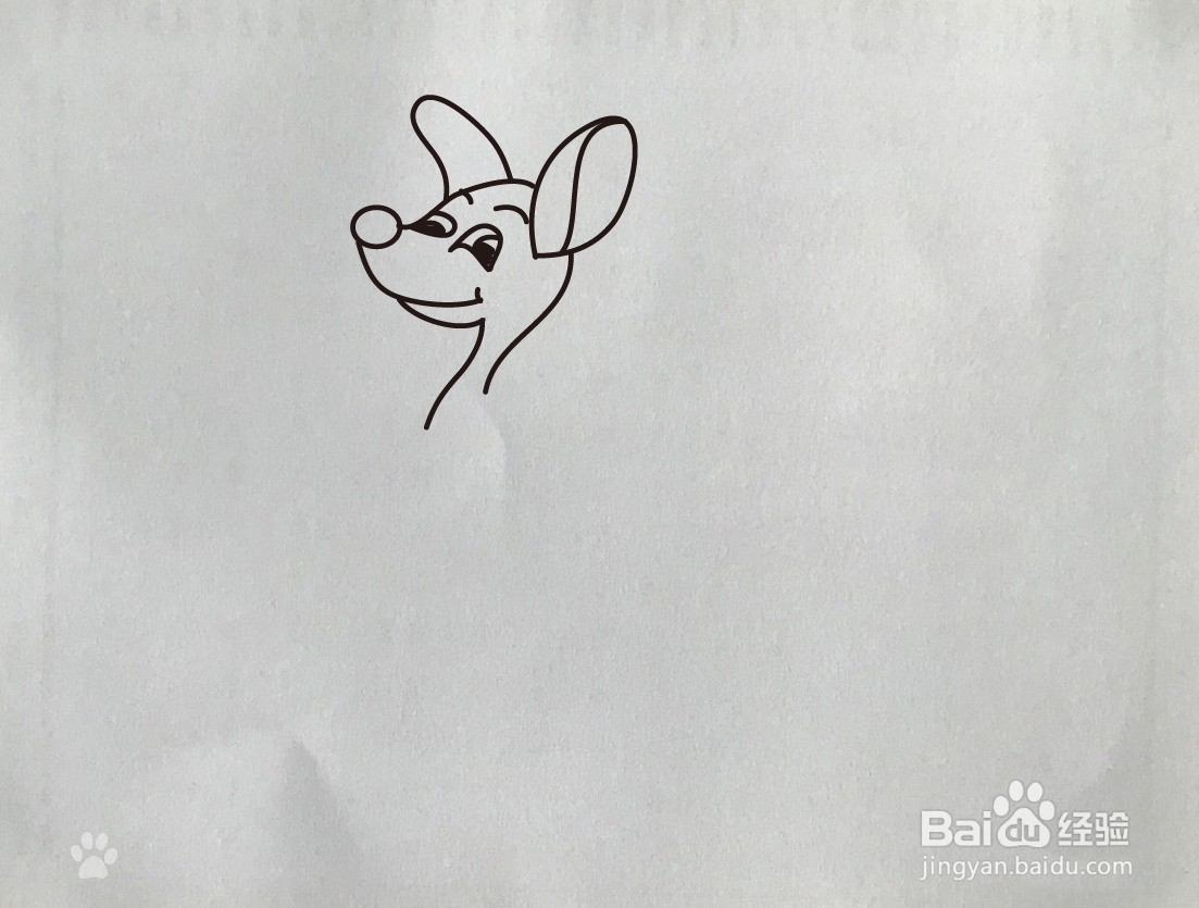 【简笔画】袋鼠的简笔画