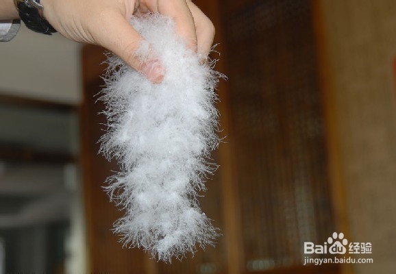 怎么挑选羽绒服