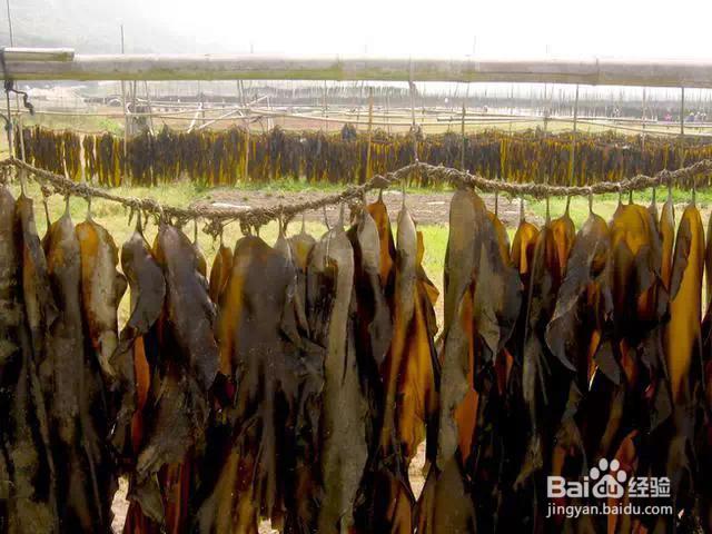 宝宝补钙食物TOP10 你造几个？