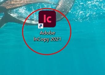 incopy语言如何设置为波兰语#校园分享#