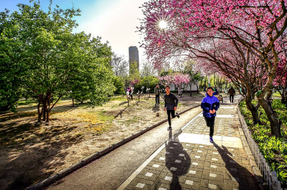 早晨适合运动吗