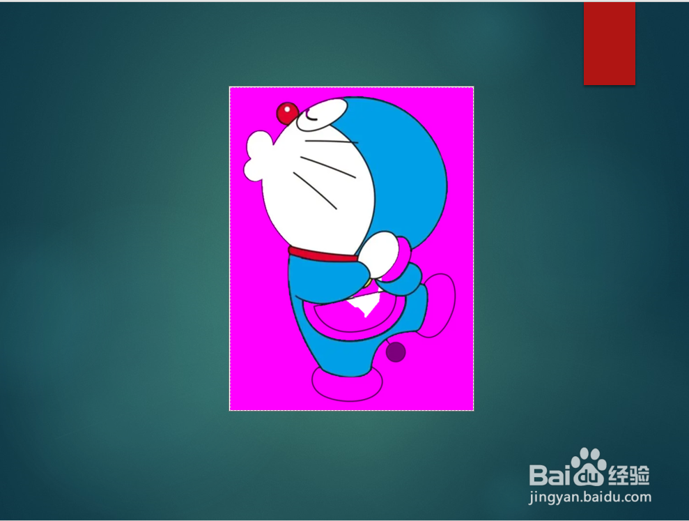 怎样在PPT中删除图片的背景