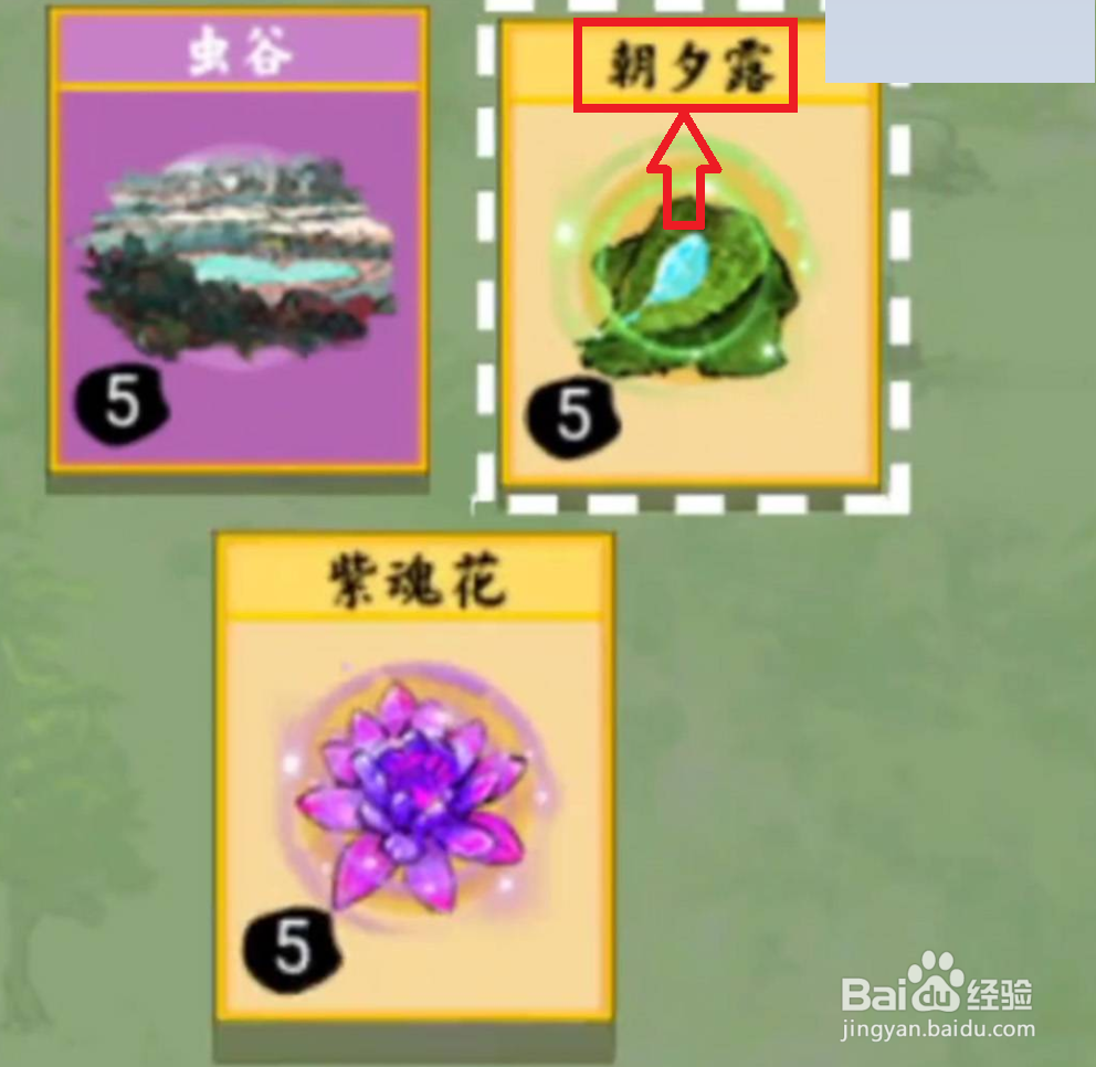 朝夕露怎么获得