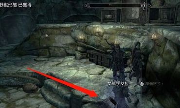 上古卷轴5解除狼人状态