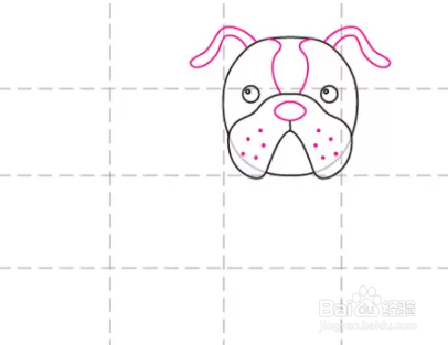 如何画斗牛犬