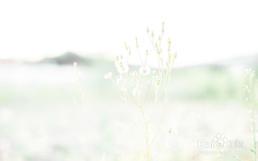 冬季脚臭/脚气怎么办