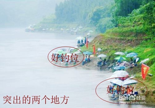 钓鱼选点技巧详解