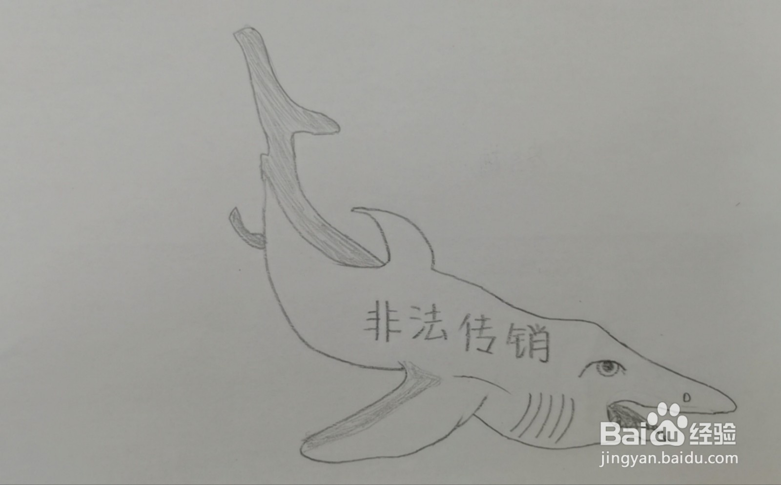 公益广告图片简笔画