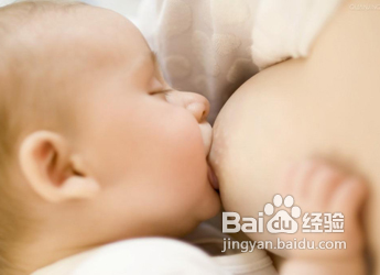 十一个月宝宝吃什么好