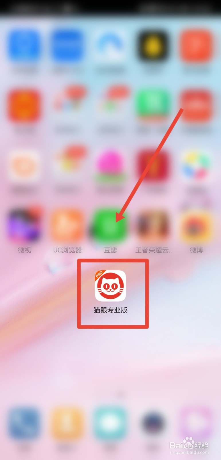 2021年清明档期有哪些电影上映