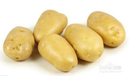 关于土豆有哪些冷门知识