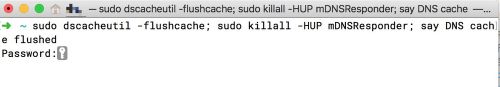 如何通过命令行刷新 MacOS 苹果电脑的 DNS 缓存