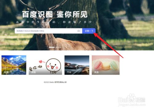 照片搜索图片识别=照片搜索图片识别人物