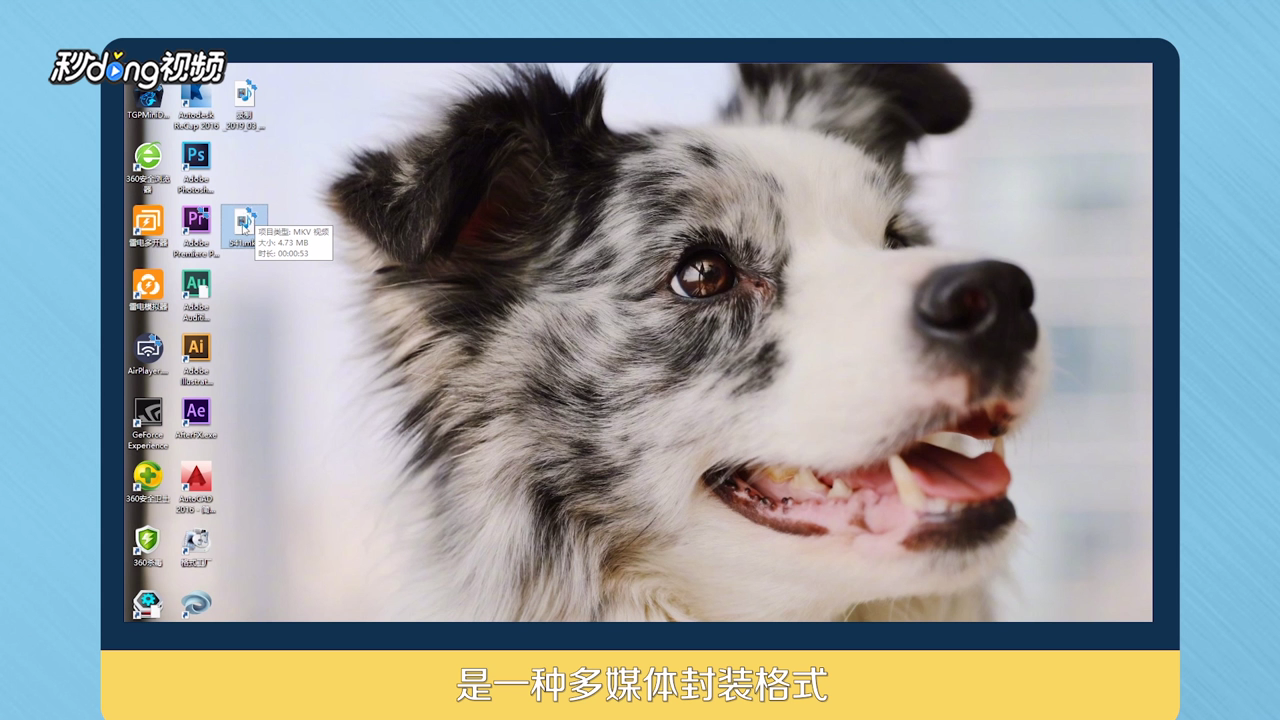 MKV是什么格式