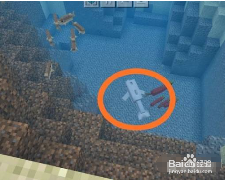 我的世界海豚怎么养