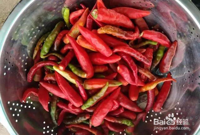 自制剁椒酱(绿色健康不含防腐剂)