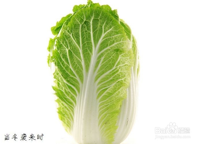 大白菜的营养与健康