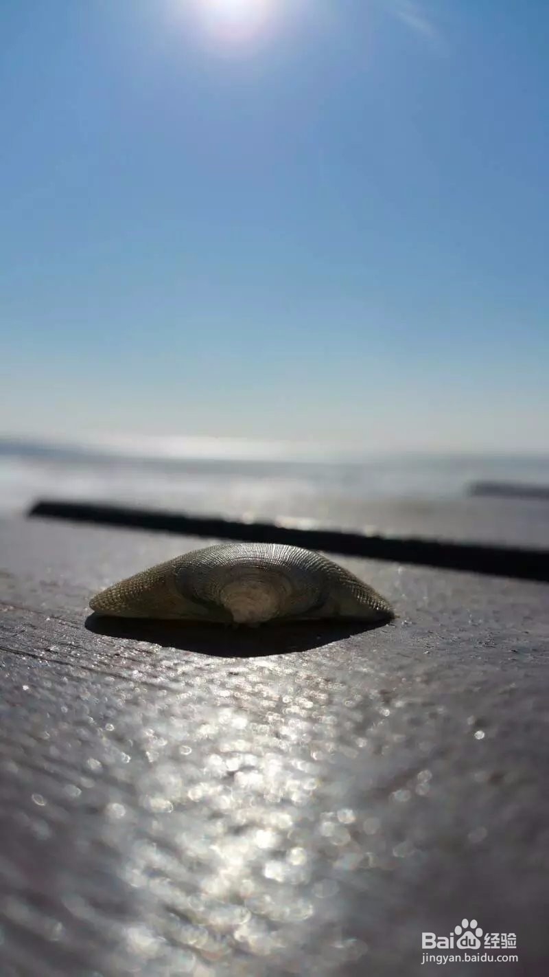 自信抑或迷茫，都请读读文章，再问问心房。