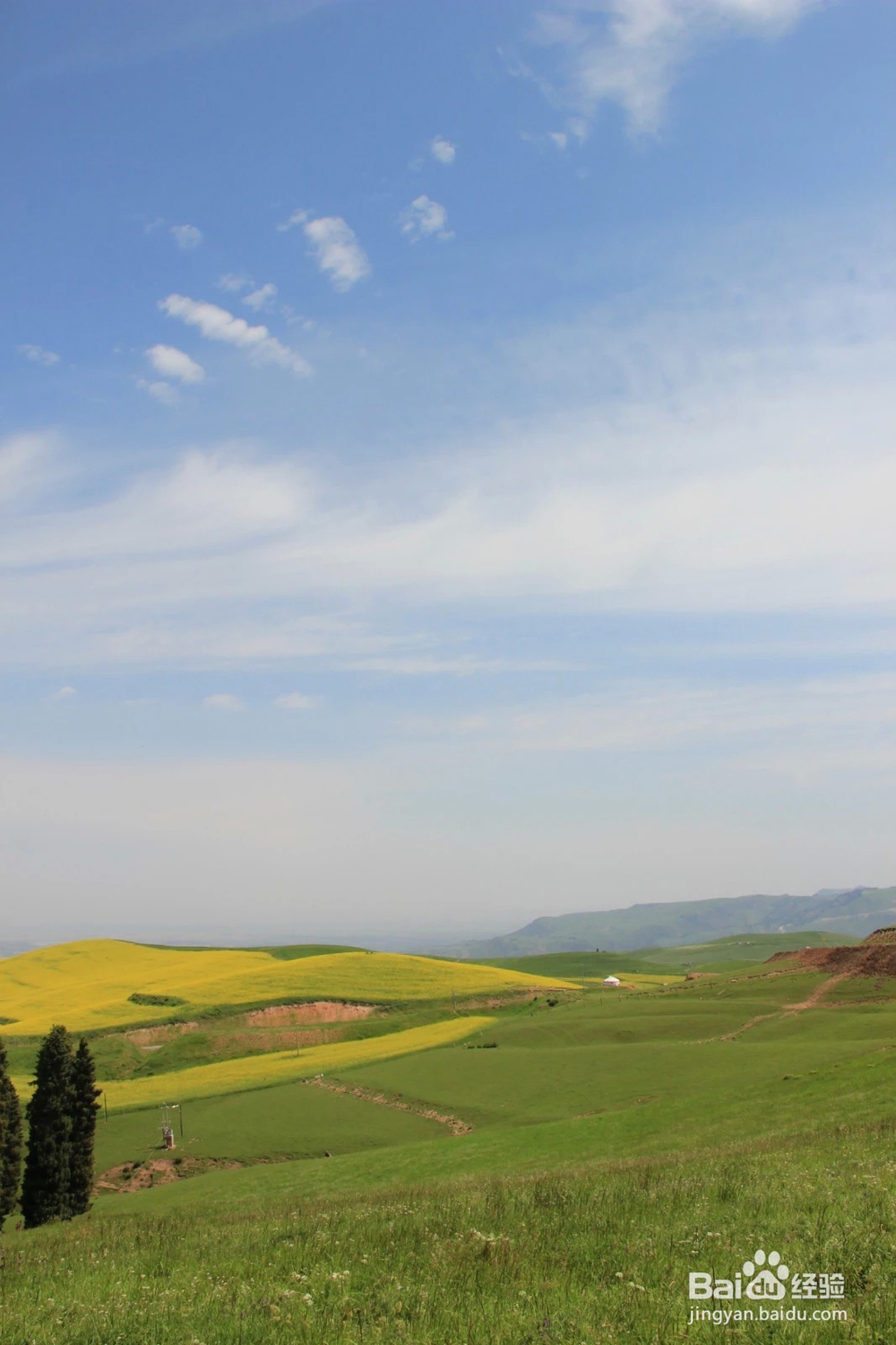 新疆避暑三日自驾游