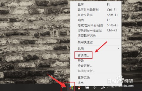 Snipaste如何设置环境遮罩色