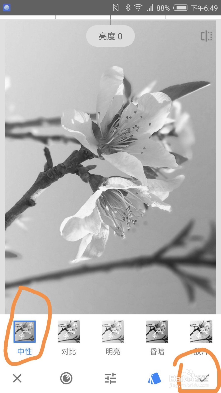 如何用snapseed进行图片的局部色彩保留