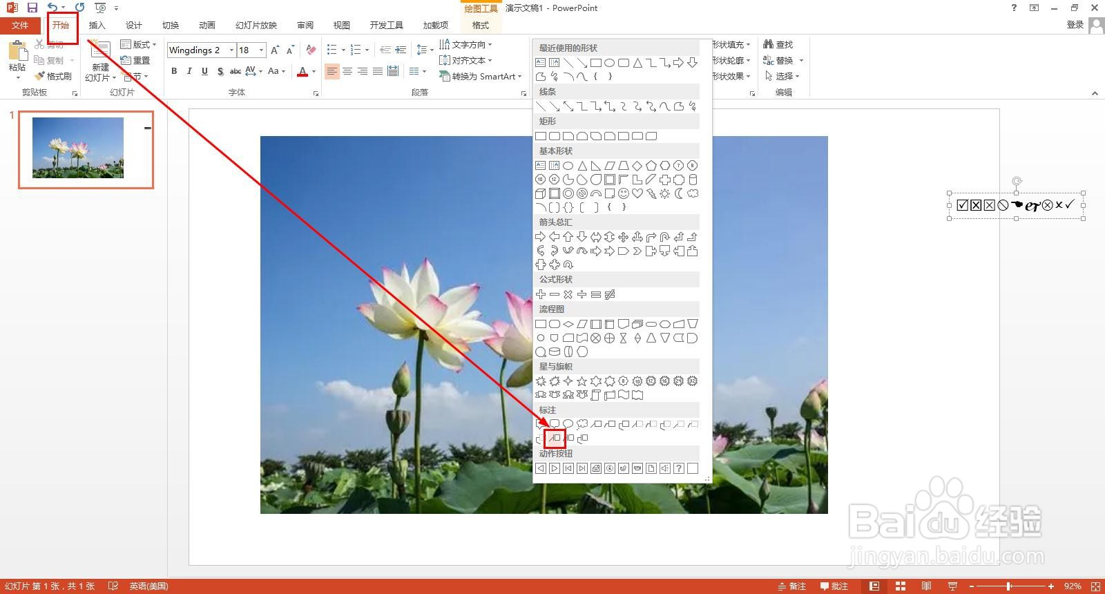 荷花的组成部分图解