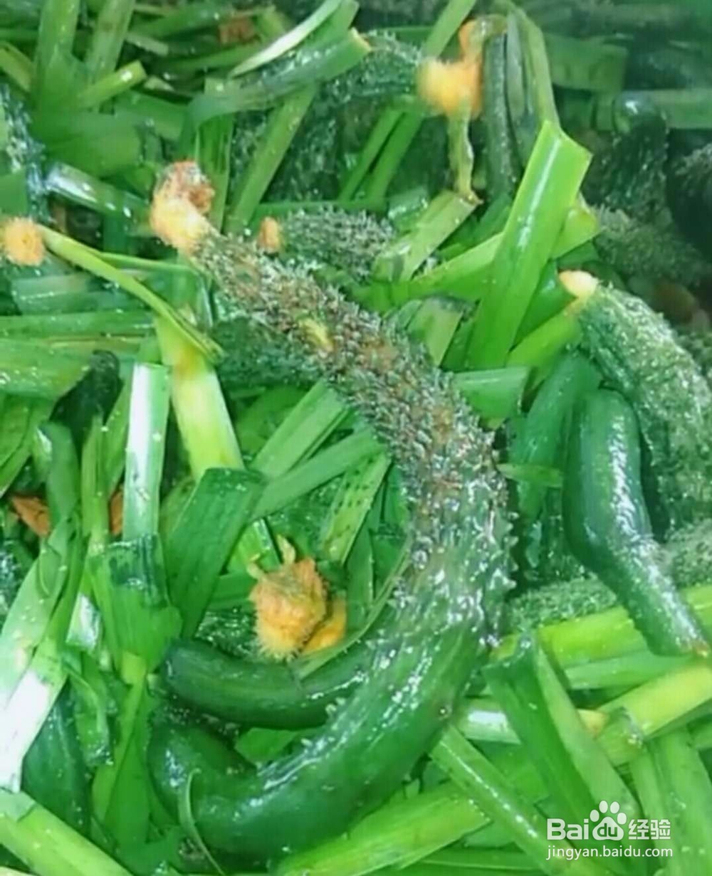 韭菜小黄瓜腌菜