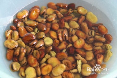 <b>新鲜兰花豆的做法</b>