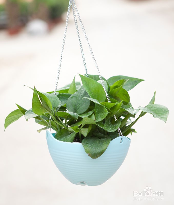 如何快速让室内空气清新