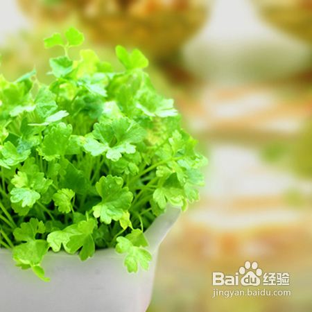 雀斑怎么治【精编版】（雀斑怎么治疗?）[图]