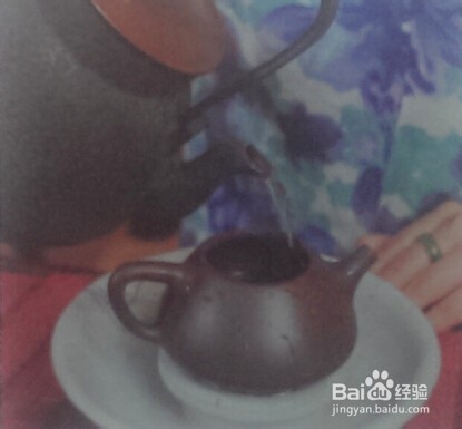 普洱生茶茶艺演示