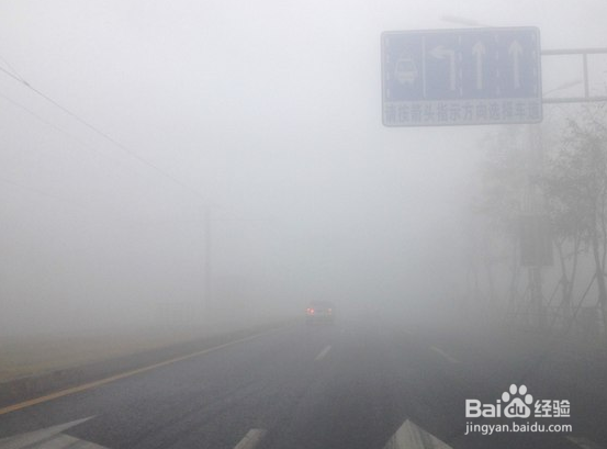 雾天出行要注意什么？