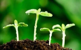 土壤养分测定仪该如何选购