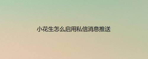 小花生怎么启用私信消息推送