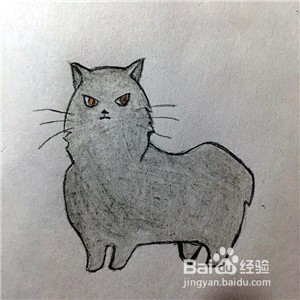 <b>怎么画一只英短蓝猫</b>