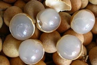 恢复视力，减缓视力下降的方法