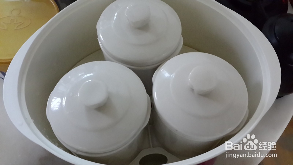 美容圣品——冰糖炖燕窝