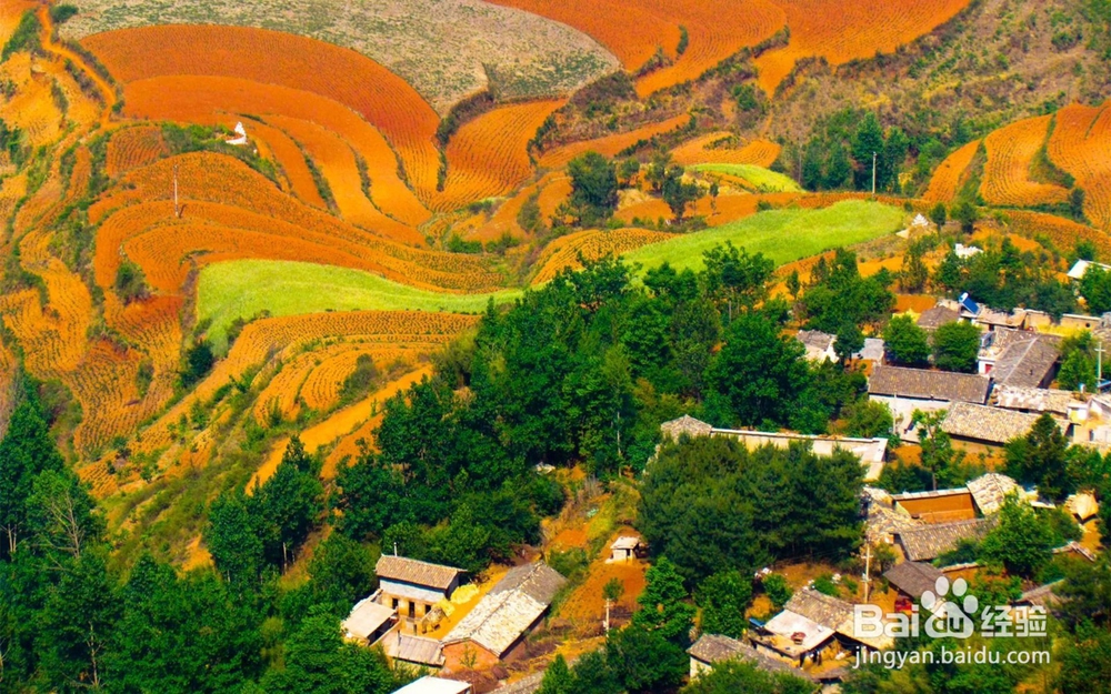 坝美旅游最佳时间