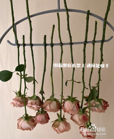 送的花怎么处理比较好？