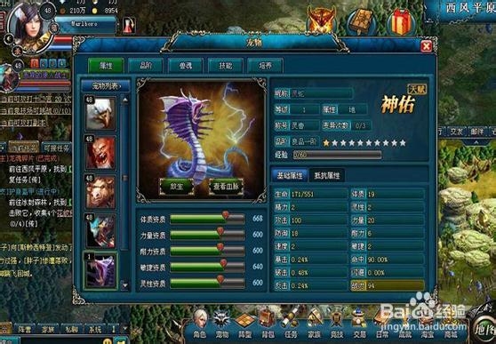 《兽战》新手升级实用攻略