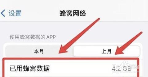 怎么看iphone上月已用蜂窝数据?