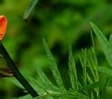 健康常识,你知道多少?2