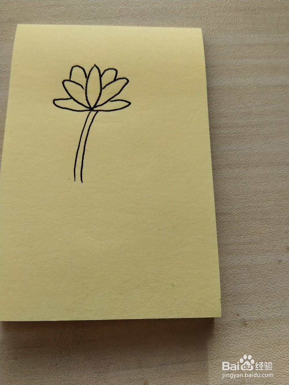 荷花的简笔画怎么画