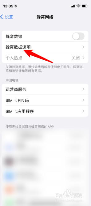 苹果手机怎么打开5G功能